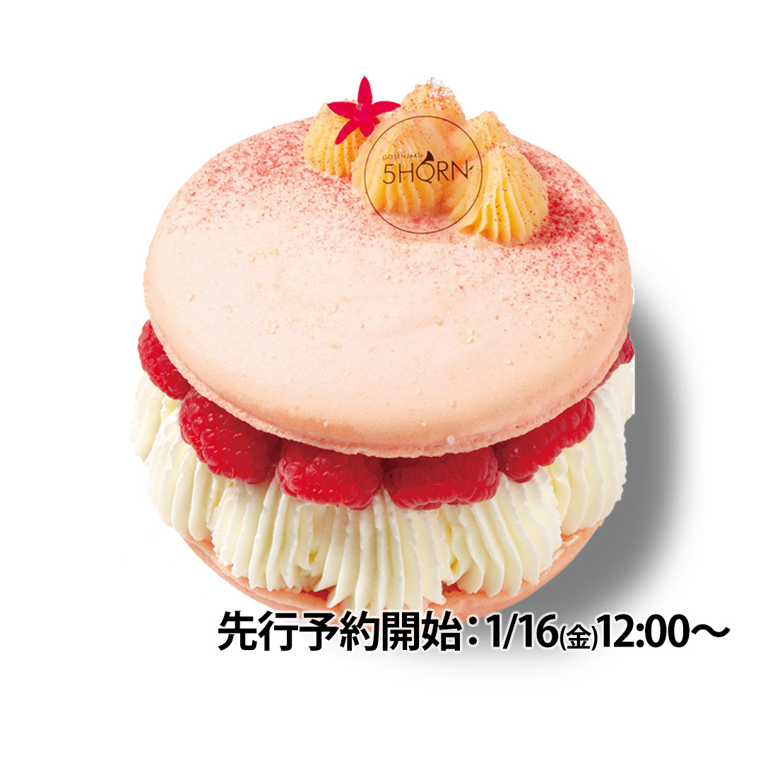 商品画像 シェレル-VD2026