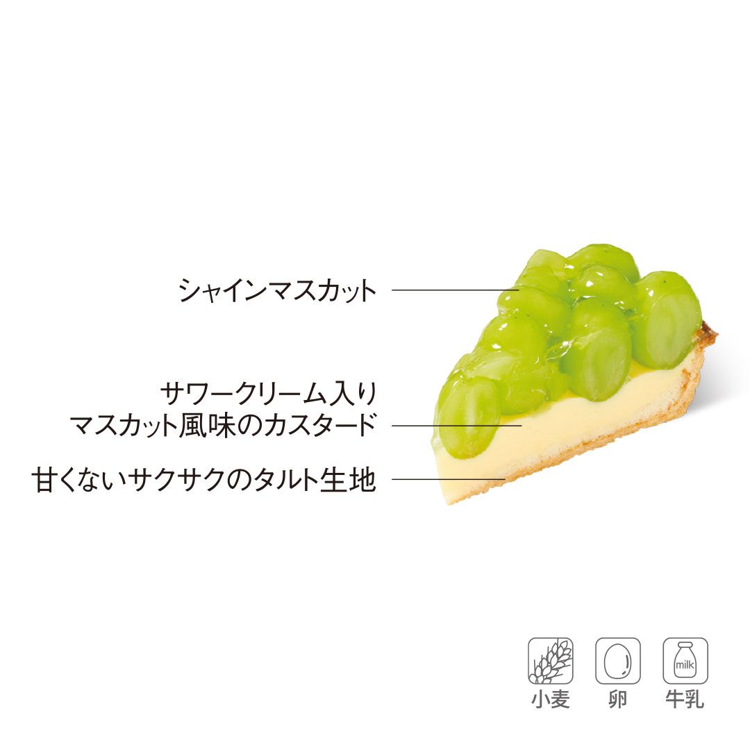シャインマスカットのタルト
