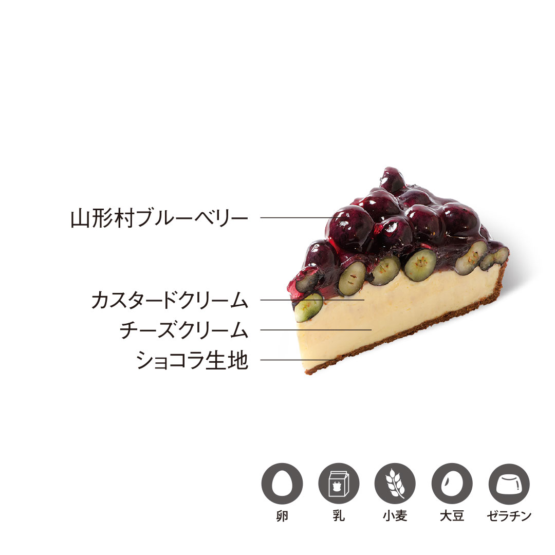 山形村産ブルーベリーレアチーズ