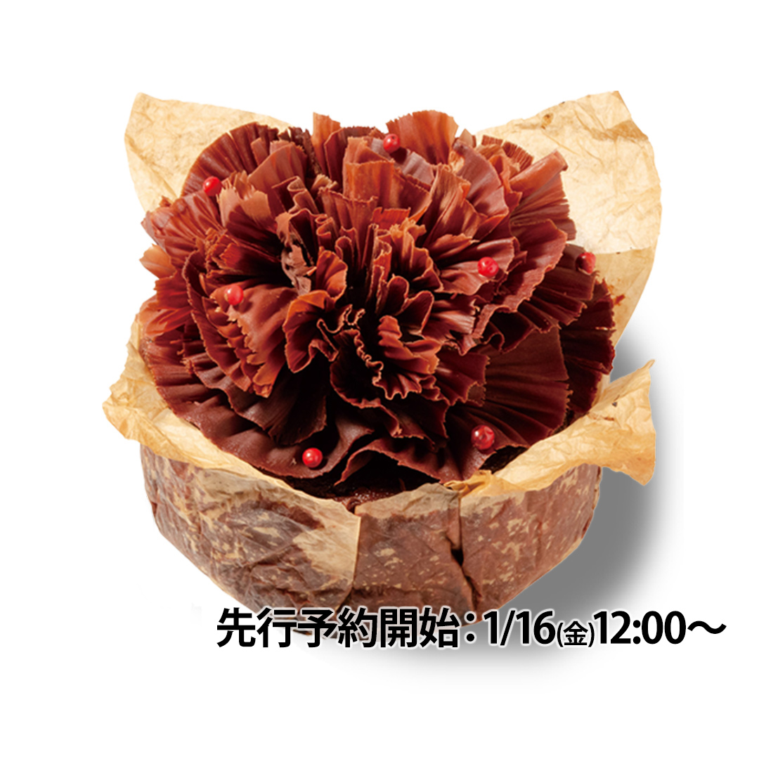 商品画像 ガトーバスクショコラ-VD2026